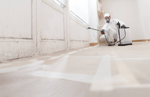 24/7 Emergency Mold Remediation experts in Windsor, VA