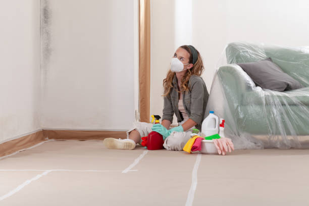 Reliable Mold Remediation contractor in Windsor, VA by 24 Hour Mold Removal